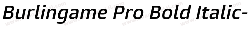 Burlingame Pro Bold Italic字体转换